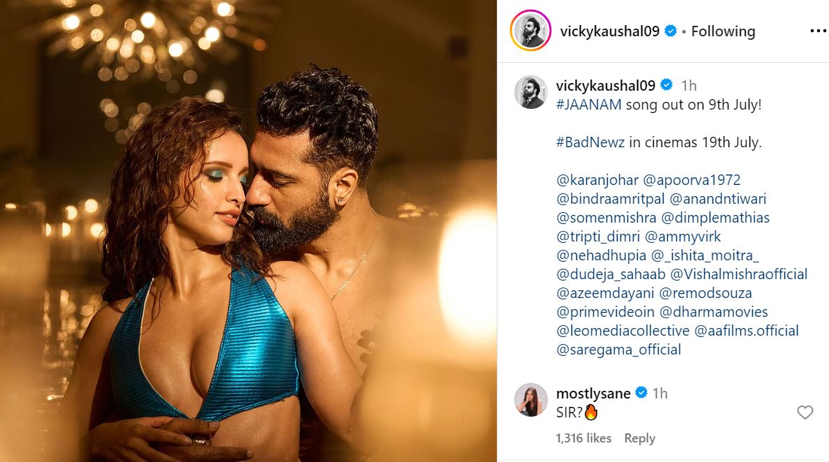 Tripti Dimri Vicky Kaushal Photo